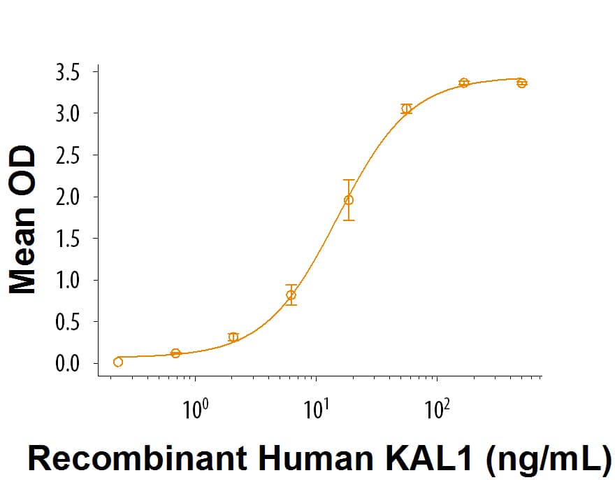 When Recombinant Human FGF basic 146 aa (Catalog # 233-FB) is coated at 1.5 µg/mL, Recombinant Human KAL1 (Catalog # 9314-KA) binds with an ED50 of 8-48 ng/mL.