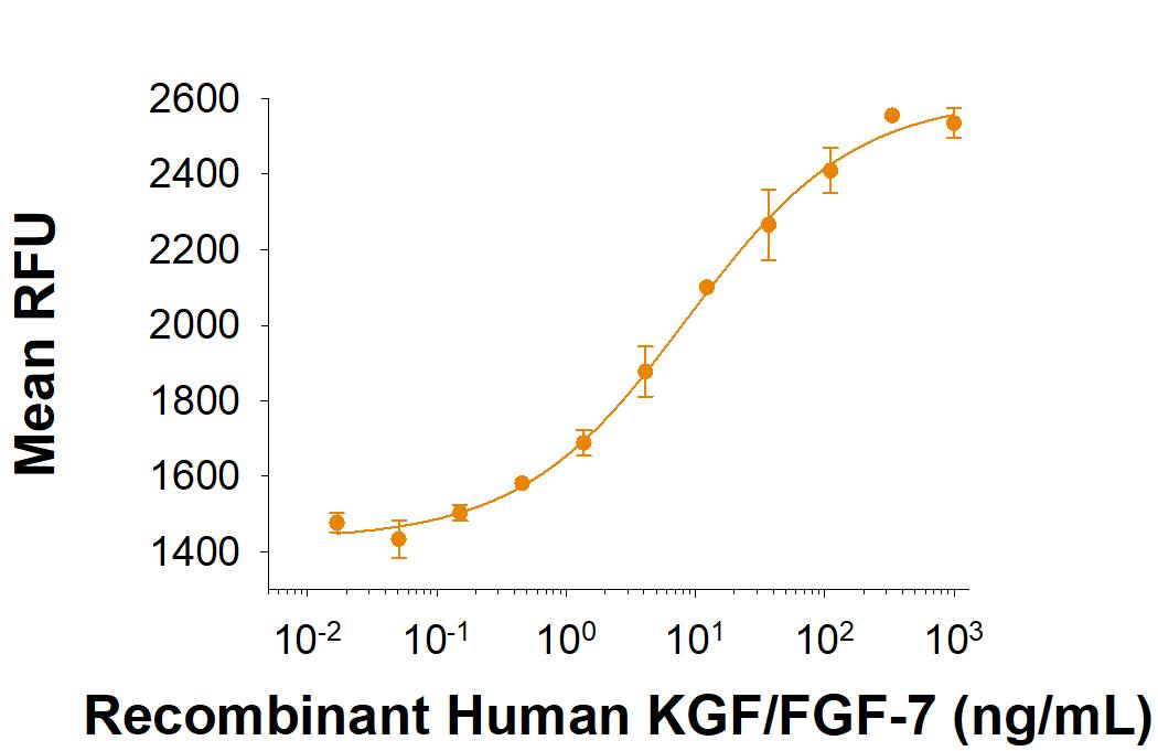 Recombinant Human KGF/FGF-7 (Catalog # 251-KG/CF) stimulates cell proliferation of 4MBr-5 rhesus monkey epithelial cells. The ED50 for this effect is 6-60 ng/mL.