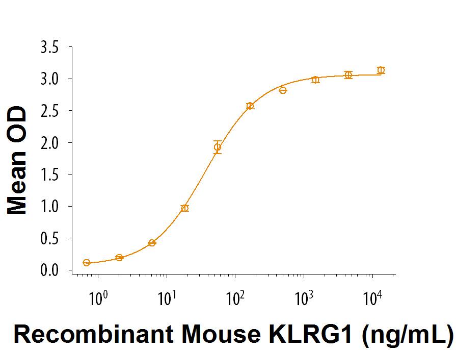 When Recombinant Mouse E-Cadherin (Catalog # 8875-EC) is coated at 5 µg/mL, 100 µL/well, Recombinant Mouse KLRG1 Fc Chimera (Catalog # 6944-KR) binds with an ED50 of 15-90 ng/mL.