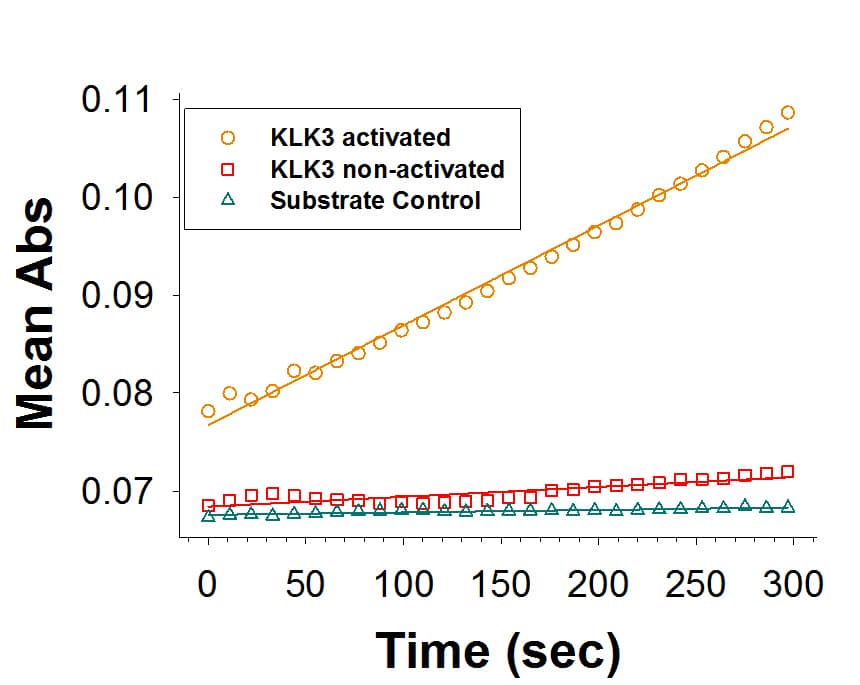 Recombinant Human Kallikrein 3 (Catalog # 1344-SE) is measured by its ability to cleave the colorimetric peptide substrate, Succinyl-Arg-Pro-Tyr-p-Nitroanilide (Suc-RPY-pNA).