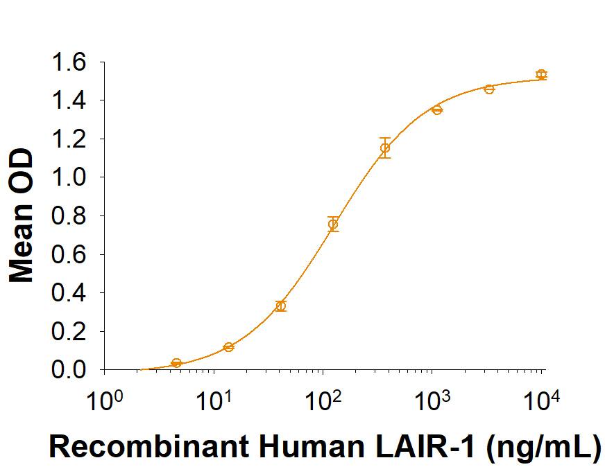 When Bovine Collagen I is coated at 10 µg/mL, Recombinant Human LAIR-1 Fc Chimera binds with an ED50 of 25-150 ng/mL.