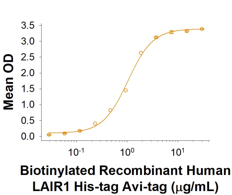 When Bovine Collagen I is coated at 10 μg/mL, 100 μL/well, Biotinylated Recombinant Human LAIR1 His-tag Avi-tag (Catalog # AVI2664) binds with an ED50 of 0.6-4.8 μg/mL.