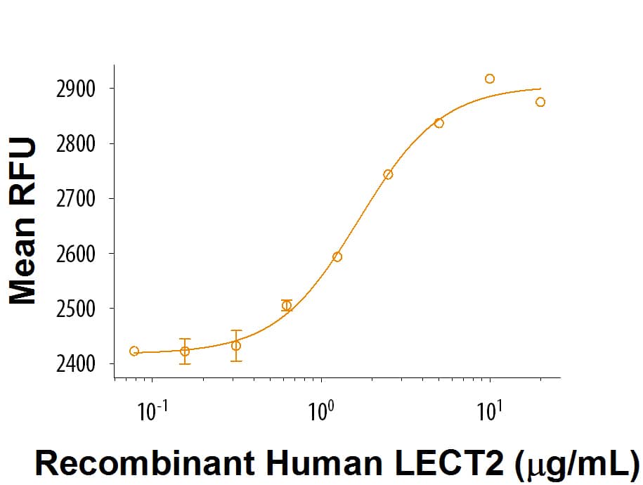 Bioactivity LECT2 [Unconjugated]