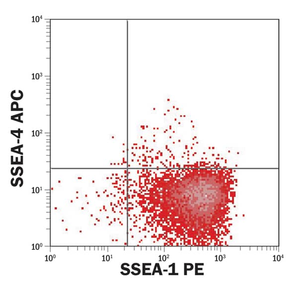 D3 mouse ESCs were cultured with Recombinant Mouse LIF (10 ng/mL). After 15 days, and following multiple rounds of passaging, the ESCs were analyzed for pluripotency by staining with PE-conjugated Mouse Anti-Human/Mouse SSEA-1 PE-conjugated Monoclonal Antibody (Catalog # FAB2155P) and APC-conjugated Mouse Anti-Human/Mouse SSEA-4 APC-conjugated Monoclonal Antibody (Catalog # FAB1435A). ESCs continue to express the pluripotency marker SSEA-1 and lack expression of SSEA-4, a negative marker for mouse ESCs. Quadrants were set based on samples stained with isotype control antibodies.