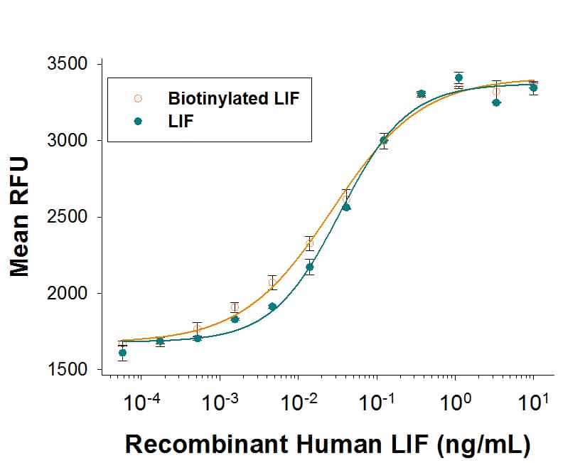Bioactivity LIF [Biotin]