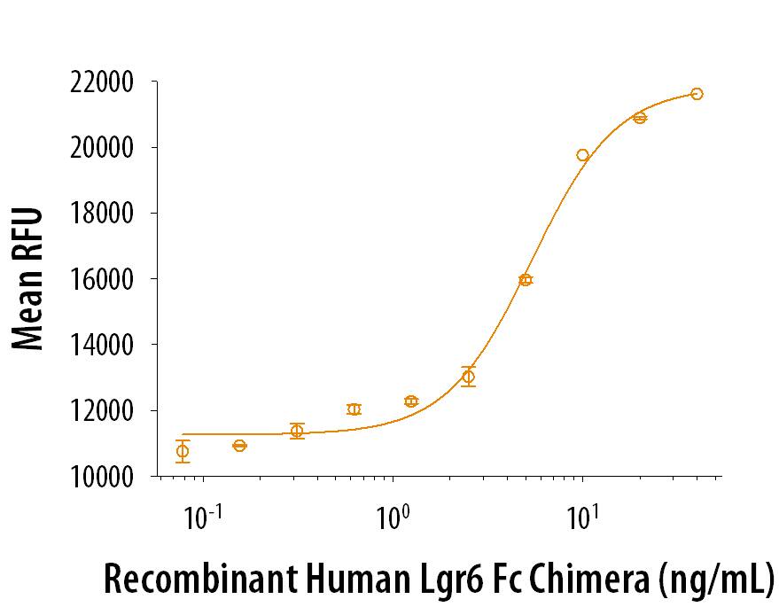 Recombinant Human Lgr6 induces Topflash reporter activity in HEK293T human embryonic kidney cells. The ED50 for this effect is 2.5-12.5 µg/mL in the presence of 10 ng/mL Recombinant Mouse Wnt-3a (Catalog # 1324-WN).