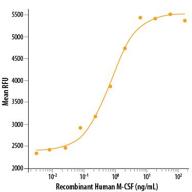Recombinant Human M-CSF (Catalog # 216-MC) stimulates cell proliferation of the M‑NFS‑60 mouse myelogenous leukemia lymphoblast cell line in a dose-dependent manner. The ED50 for this effect is 0.5-1.5 ng/mL.