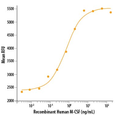 Recombinant Human M-CSF (Catalog # 216-MC/CF) stimulates cell proliferation of the M‑NFS‑60 mouse myelogenous leukemia lymphoblast cell line in a dose-dependent manner. The ED50 for this effect is 0.5-1.5 ng/mL.