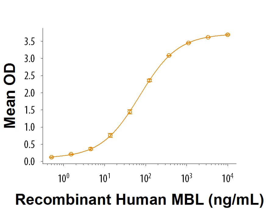 When Mannan is coated at 0.1 µg/mL (100 µL/well), Recombinant Human MBL (Catalog # 9086-MB) binds with a typical ED50 of 25-150 ng/mL.