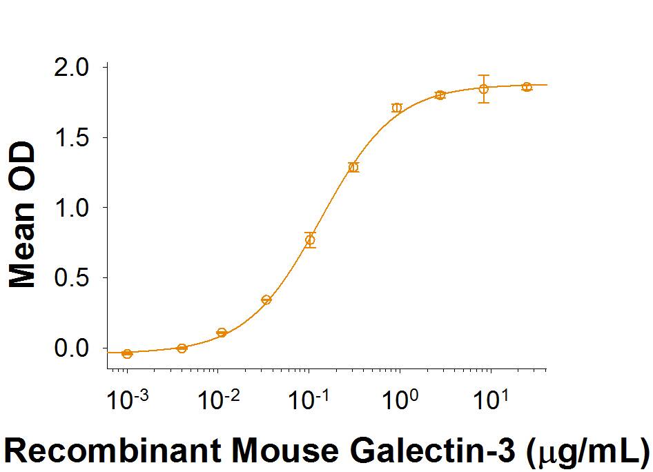 Binding Activity MCAM/CD146 [Unconjugated]
