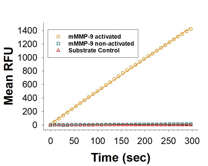 Recombinant Mouse MMP-9 (Catalog # 909-MM) is measured by its ability to cleave the fluorogenic peptide substrate, Mca-PLGL-Dpa-AR-NH2 (Catalog # ES001).