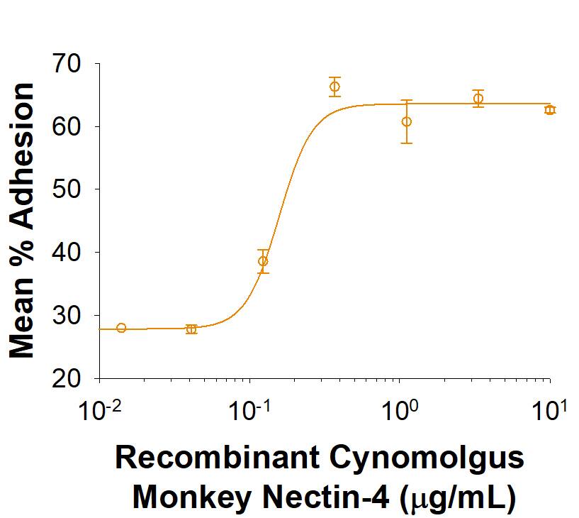 Bioactivity Nectin-4/PVRL4 [Unconjugated]