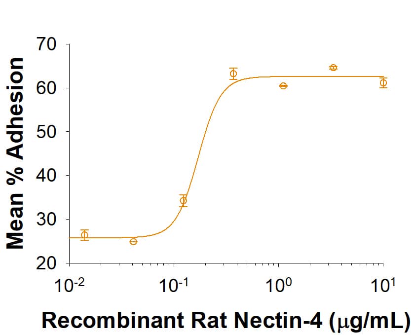 Bioactivity Nectin-4/PVRL4 [Unconjugated]