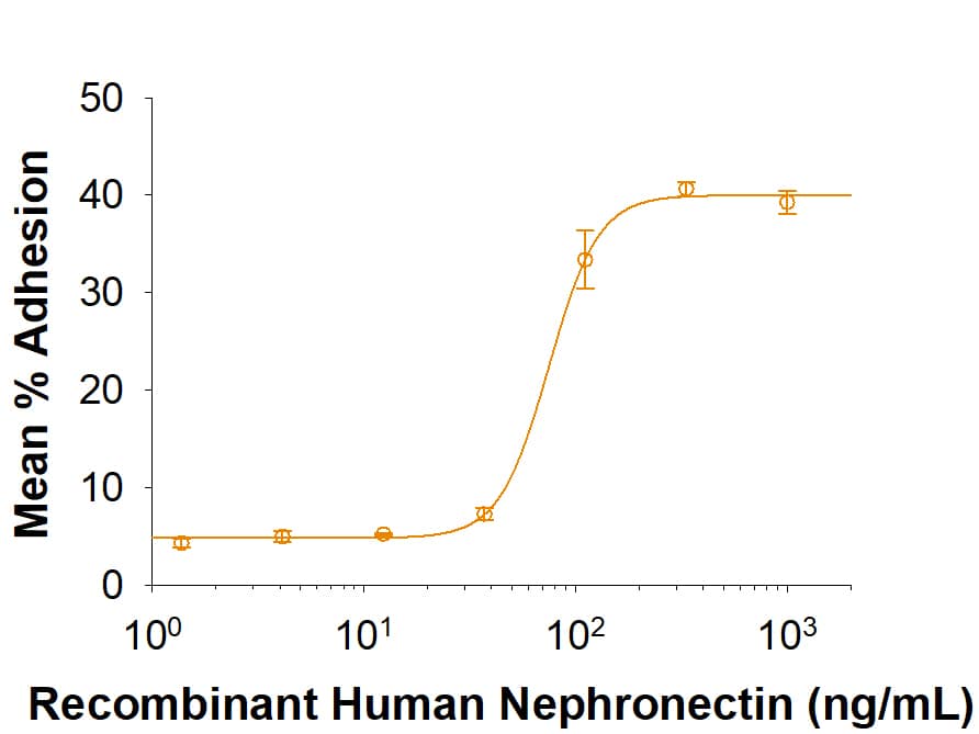 Bioactivity Nephronectin [Unconjugated]