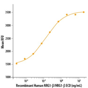 Recombinant Human NRG1-beta 1/HRG1-beta 1 Extracellular Domain (Catalog # 377-HB) stimulates cell proliferation of the MCF-7 human breast cancer cell line in a serum free assay. The ED50 for this effect is 2.5-12.5 ng/mL.