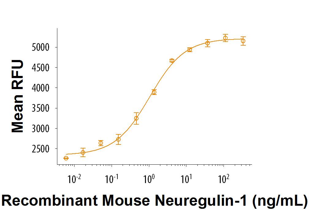 Bioactivity Neuregulin-1/NRG1 [Unconjugated]