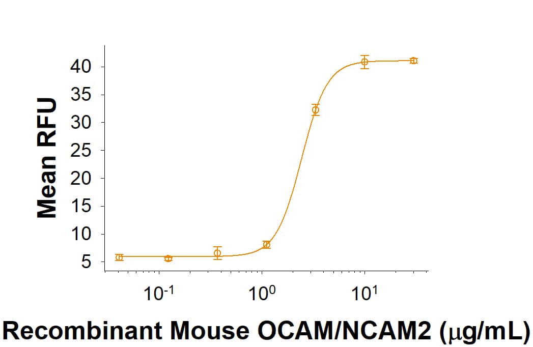 Immobilized Recombinant Mouse OCAM/NCAM2 His-tag (Catalog # 10154-CM) supports the adhesion of T47D human breast cancer cells. The ED50 for this effect is 0.6-3.6 μg/mL.