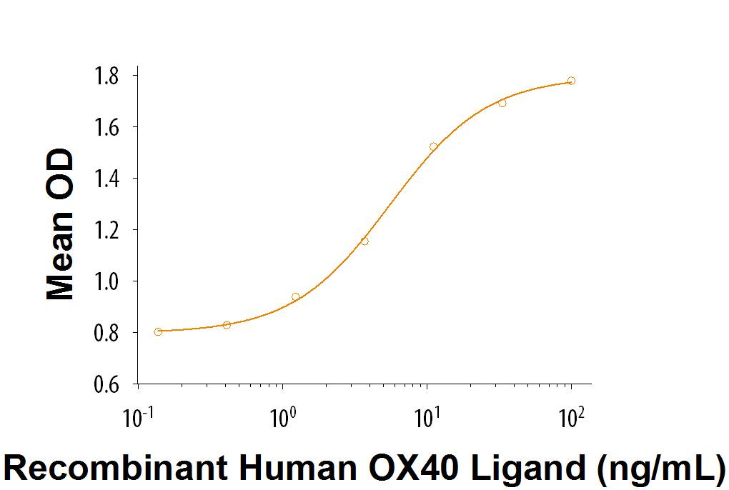Recombinant Human OX40 Ligand/TNFSF4 (Catalog # 1054-OX) induces IL-8 secretion in the HT1080 human fibrsarcoma cell line. The ED50 for this effect is 1-5 ng/mL.