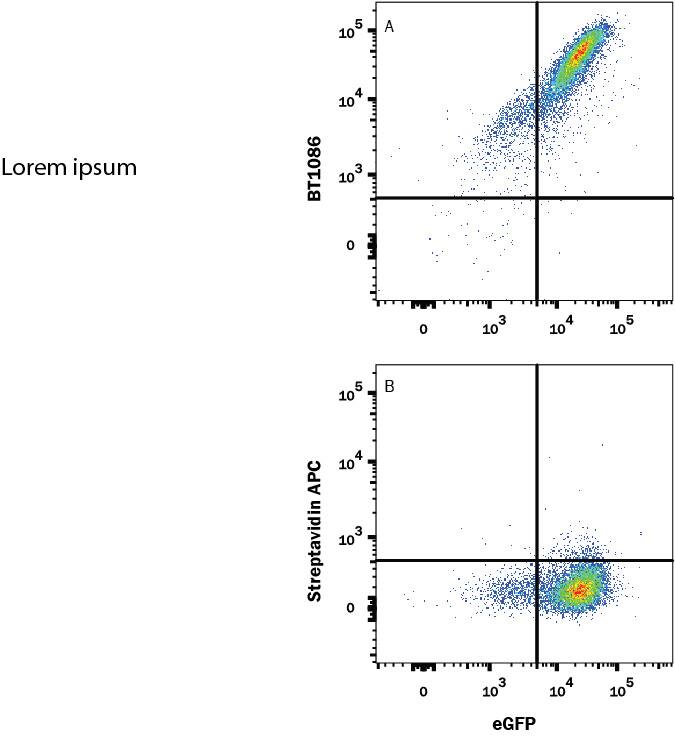 In a functional flow cytometry test, (A) Recombinant Human PD-1 Fc Chimera Biotinylated Protein (Catalog # BT1086) binds to HEK293 human embryonic kidney cell line transfected with recombinant human PD-L1 and EGFP. Ligand binding was detected by staining cells with APC-conjugated Streptavidin (F0050), which does not stain the cells in the absence of recombinant protein (B).