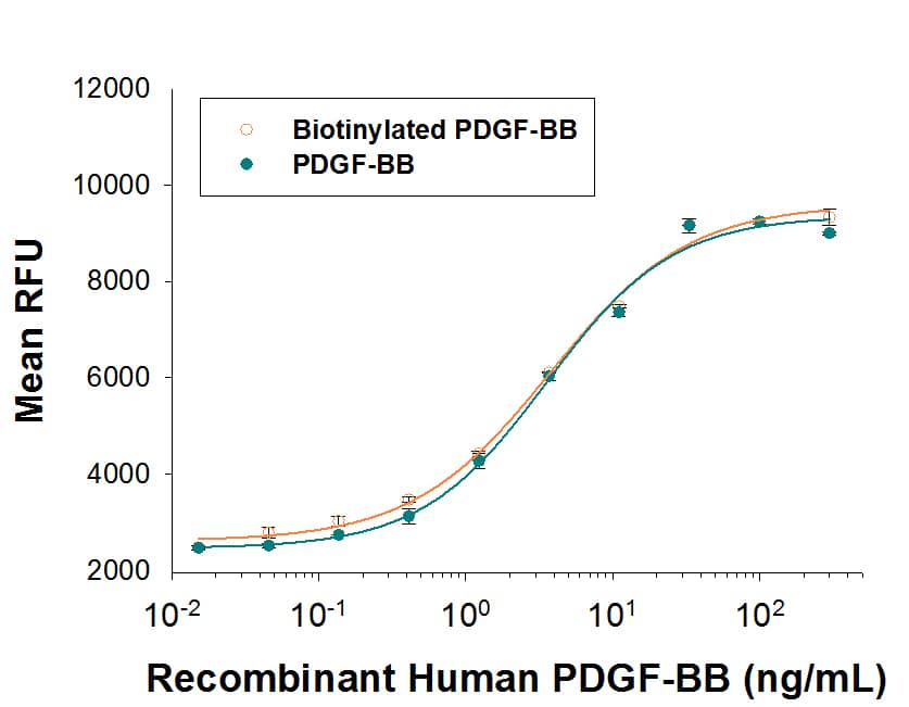 Both Biotinylated Recombinant Human PDGF-BB (Catalog # BT220/CF) and unlabeled Recombinant Human PDGF-BB (Catalog # 220-BB) stimulate NR6R-3T3 mouse fibroblast cell proliferation. The ED50 for this effect is 1.5-6 ng/mL. The similarity in activity highlights that the biotinylated protein is fully functional.