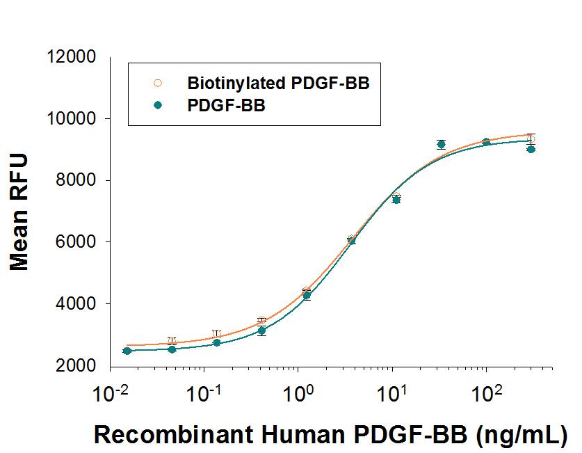 Bioactivity PDGF-BB [Biotin]