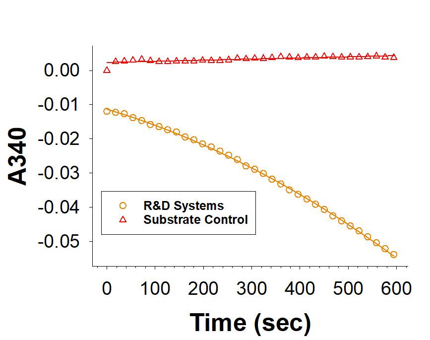 Recombinant Human PSAT1 His-tag (Catalog # 10342-PS) is measured by its ability to produce 3-phosphooxypyruvate.
