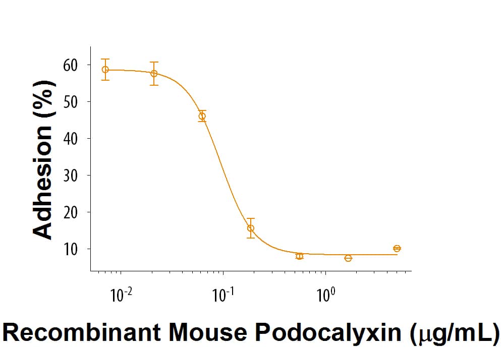 Bioactivity Podocalyxin Like [Unconjugated]