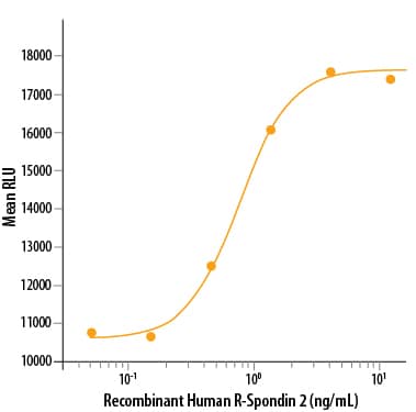 Bioactivity R-Spondin 2 [Unconjugated]