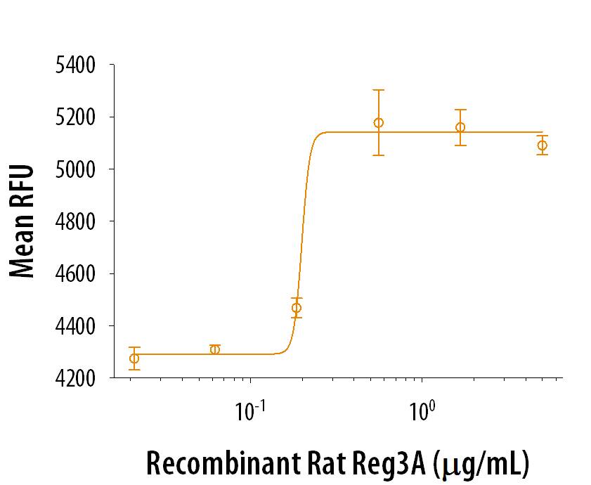 Recombinant Rat Reg3A (Catalog # 8347-RG) stimulates cell proliferation by RT4‑D6P2T rat schwannoma cells. The ED50 for this effect is 0.1-0.6 μg/mL.