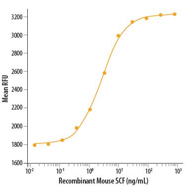 Recombinant Mouse SCF/c-kit Ligand (Catalog # 455-MC) stimulates cell proliferation of the TF-1 human erythroleukemic cell line. The ED50 for this effect is 2.5-10 ng/mL.