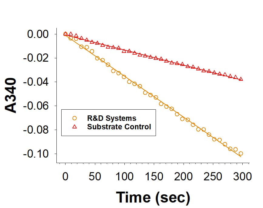 Recombinant Human SPR His-tag Protein (Catalog # 10209-SP) is measured by its ability to catalyze the reduction of phenanthrenequinone.