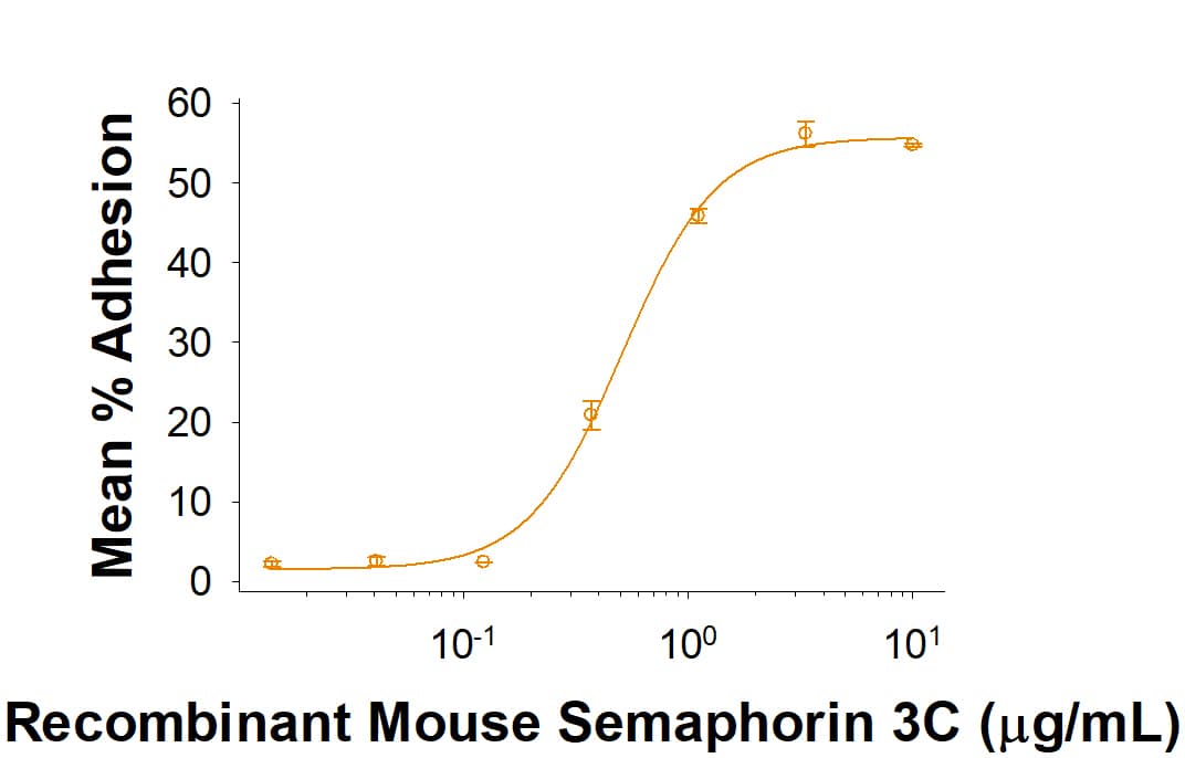 Bioactivity Semaphorin 3C [Unconjugated]