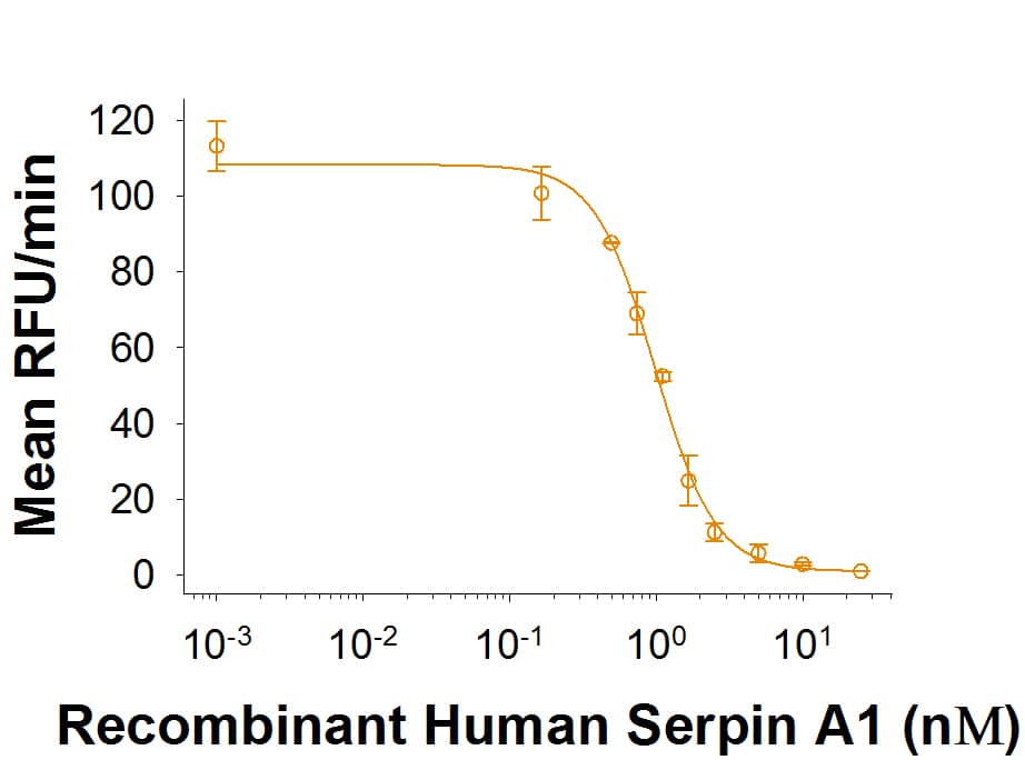 Recombinant Human Serpin A1/alpha-1-Antitrypsin (Catalog # 1268-PI) is measured by its ability to inhibit trypsin cleavage of a fluorogenic peptide substrate, Mca-RPKPVE-Nval-WRK(Dnp)-NH2 (Catalog # ES002).