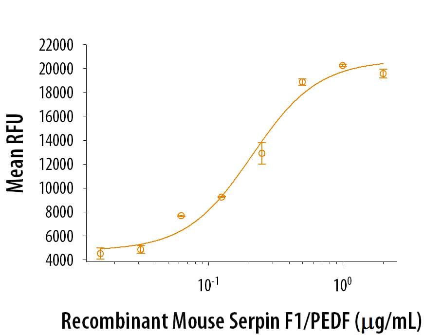 Recombinant Mouse Serpin F1/PEDF enhances the adhesion of Saos‑2 human osteosarcoma cells to a bovine Collagen I coated plate. The ED50 for this effect is ≤ 2.00 μg/mL.
