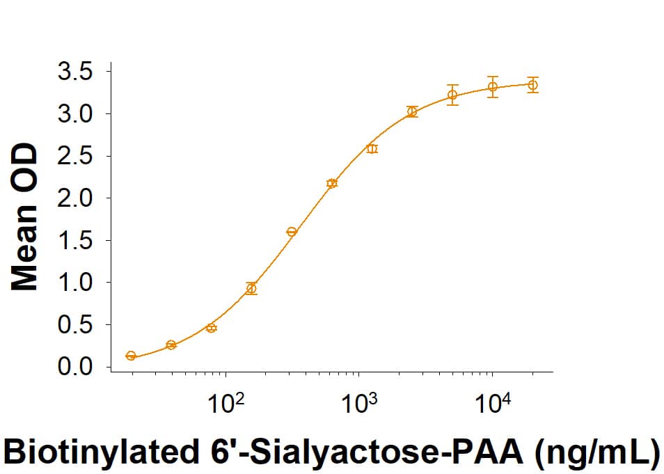 In a functional ELISA. Recombinant Mouse Siglec-G Fc Chimera (Catalog # 10103-SL) binds to biotinylated 6'-Sialylactose-PAA.