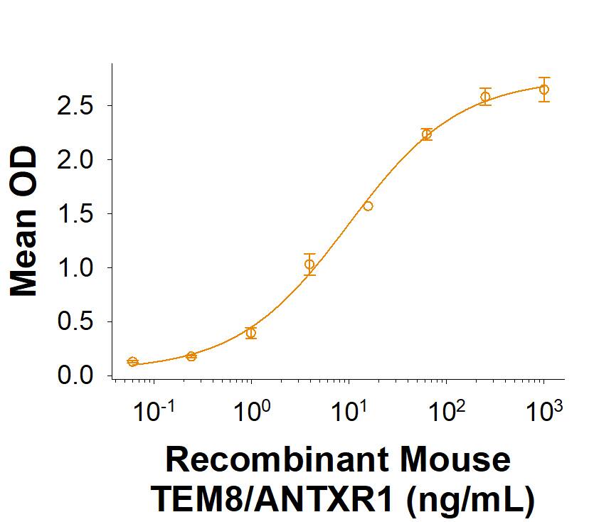 Binding Activity TEM8/ANTXR1 [Unconjugated]