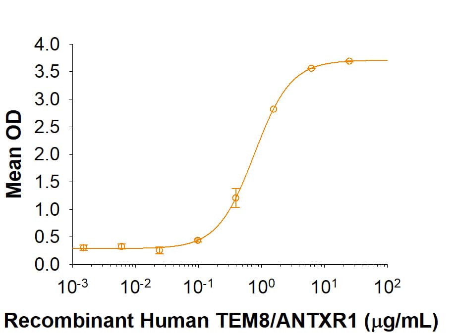 Binding Activity TEM8/ANTXR1 [Unconjugated]