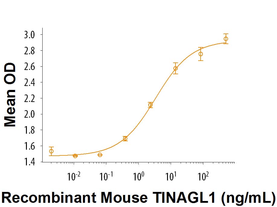 Recombinant Mouse TINAGL1 (Catalog # 9208-TI) binds to Cultrex Mouse Laminin I in an ELISA Binding Assay. When Cultrex Mouse Laminin I (Catalog # 3400-010-01) is coated at 5 µg/mL, Recombinant Mouse TINAGL1 binds with an ED50 = 1-6 ng/mL.