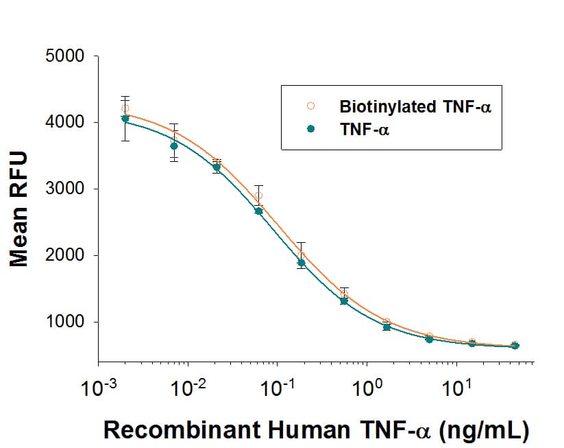 Both Biotinylated Recombinant Human TNF-a (Catalog # BT210) and unlabeled Recombinant Human TNF-a (Catalog # 210-TA) promotes cytotoxicity in L-929 mouse fibroblast cells in the presence of the metabolic inhibitor actinomycin D. The ED50 for this effect is 25-100 pg/mL. The similarity in activity highlights that the biotinylated protein is fully functional.