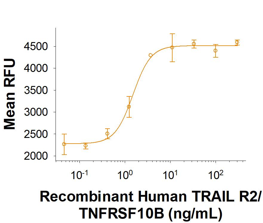 Recombinant Human TRAIL R2/TNFRSF10B Fc Chimera (Catalog # 10140-T2) inhibits Recombinant Human TRAIL/TNFSF10 (Catalog # 375-TEC) mediated cytotoxicity using L-929 mouse fibroblast cells. The ED50 for this effect is 0.75-6 ng/mL.