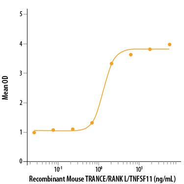 Recombinant Mouse TRANCE/TNFSF11/RANK L (Catalog # 462-TEC/CF) induces osteoclast differentiation of the RAW 264.7 mouse monocyte/macrophage cell line. The ED50 for this effect is 0.5-2 ng/mL.