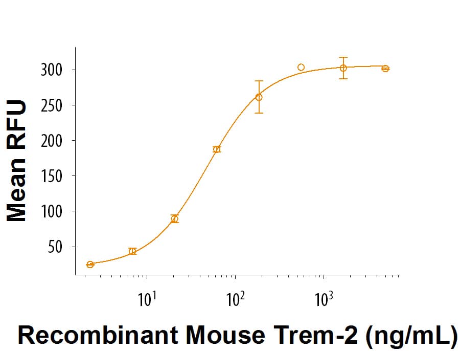 Recombinant Mouse TREM-2 (Catalog # 9228-T2) binds fluorescein-conjugatedS. aureusBioparticles. The ED50 for this effect is 20-120 ng/mL using an anti-His tag antibody (Catalog # MAB050) coated plate.