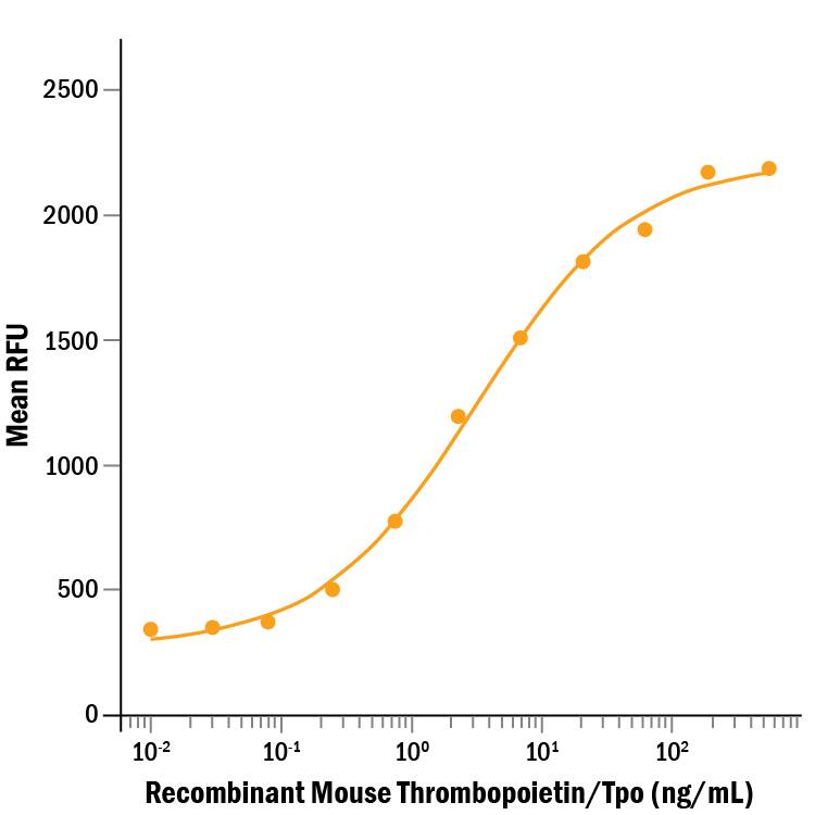 Recombinant Mouse Thrombopoietin/Tpo (Catalog # 488-TO/CF) stimulates cell proliferation in the MO7e human megakaryocytic leukemic cell line. The ED50 for this effect is 0.4-2.4 ng/mL.