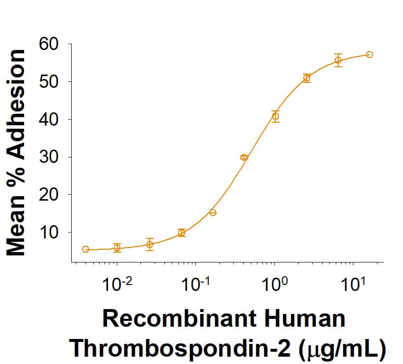 Recombinant Human Thrombospondin-2 His-tag (Catalog # 1635-T2) supports the adhesion of SVEC4-10 vascular endothelial cells. The ED50 for this effect is 0.07-0.7 μg/mL.
