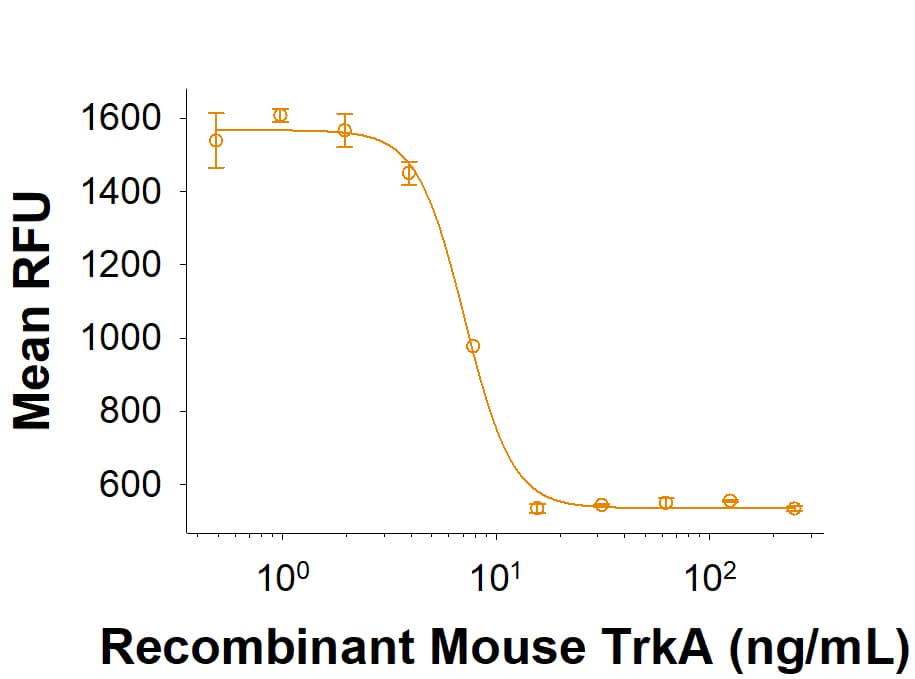 Recombinant Mouse TrkA Fc Chimera (Catalog # 10235-TK) inhibits NGF-induced proliferation of TF-1 human erythroleukemic cells. The ED50 for this effect is 4-24 ng/mL in the presence of 2 ng/mL of Recombinant Mouse  beta -NGF (Catalog # 1156-NG).