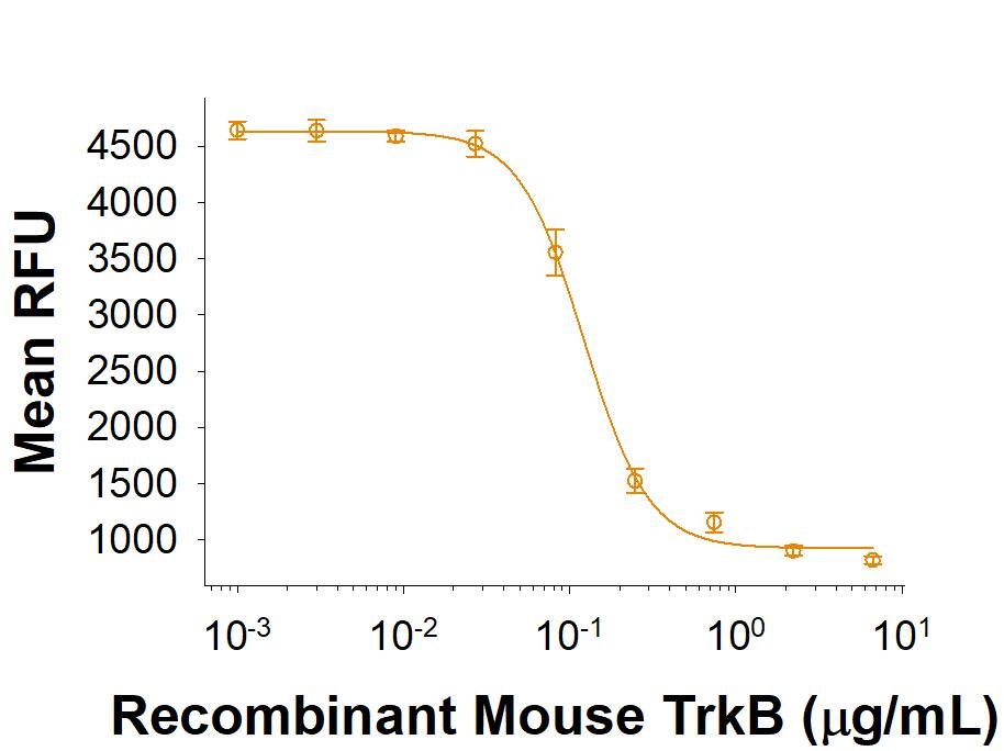 Bioactivity TrkB [Unconjugated]