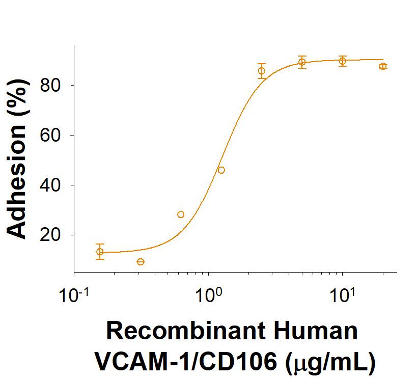 Recombinant Human VCAM-1/CD106 His-tag (Catalog # 10201-VC) supports the adhesion of U937 human histiocytic lymphoma cells. The ED50 for this effect is 0.5-3 μg/mL.