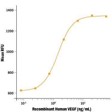 Recombinant Human VEGF (aa 207-318) (Catalog # 298-VS) stimulates cell proliferation in HUVEC human umbilical vein endothelial cells in a dose-dependent manner. The ED50 is 0.75-3.75 ng/mL.