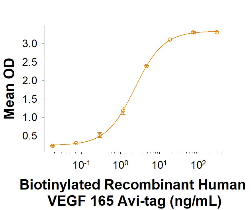 When Recombinant Human VEGFR1/Flt-1 Fc Chimera (Catalog # 321-FL) is immobilized at 1 µg/mL, Biotinylated Recombinant Human VEGF 165 Avi-tag (Catlaog # AVI293) binds with an ED50 of 0.600-3.60 ng/mL.