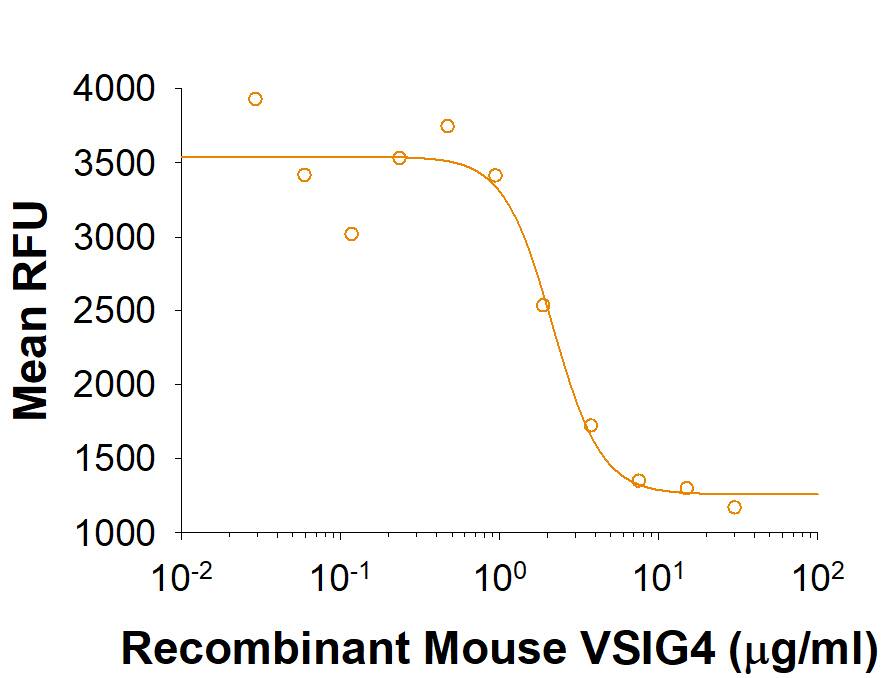 Recombinant Mouse VSIG4 Fc Chimera (Catalog # 4674-VS) inhibits anti-CD3-induced proliferation of mouse splenic T lymphocytes. The presence of immobilized Recombinant Mouse VSIG4 Fc Chimera inhibits the anti-CD3 response by ≥50%. The ED50 for this effect is 1.25‑5 µg/mL.